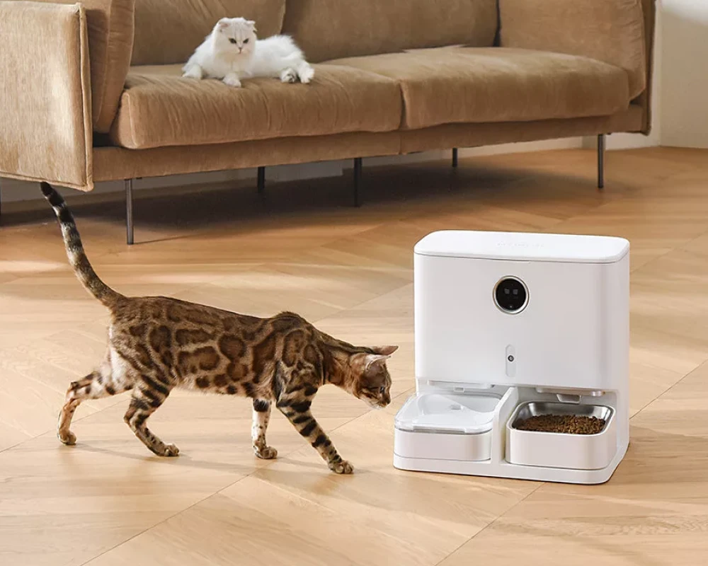 automatic dry food pet feeder